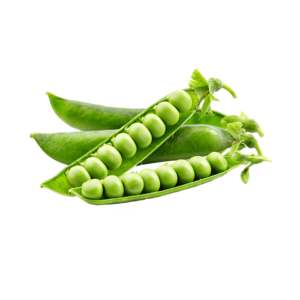1 KG Petit pois جلبانة