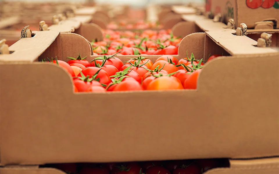 Fournisseur de légumes et fruits Tanger